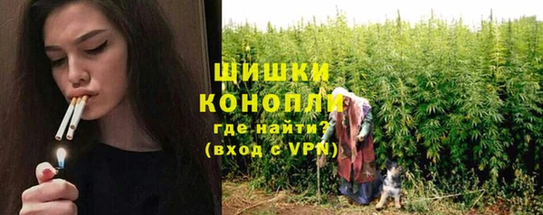 стаф Надым