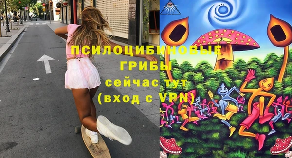 стаф Надым