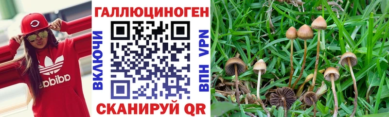Псилоцибиновые грибы ЛСД  Терек 